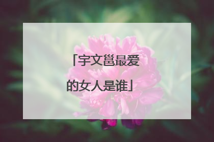 宇文邕最爱的女人是谁