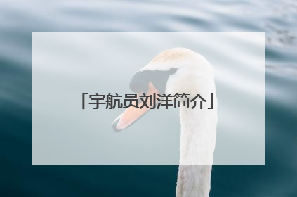 宇航员刘洋简介