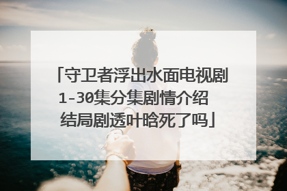 守卫者浮出水面电视剧1-30集分集剧情介绍 结局剧透叶晗死了吗