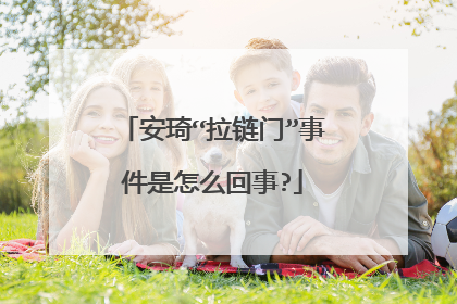 安琦“拉链门”事件是怎么回事?