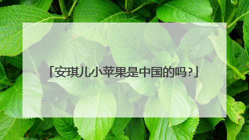 安琪儿小苹果是中国的吗?