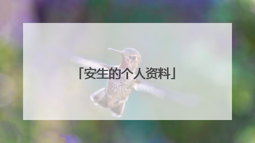 安生的个人资料