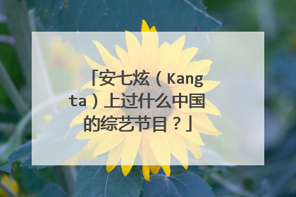 安七炫(Kangta)上过什么中国的综艺节目?