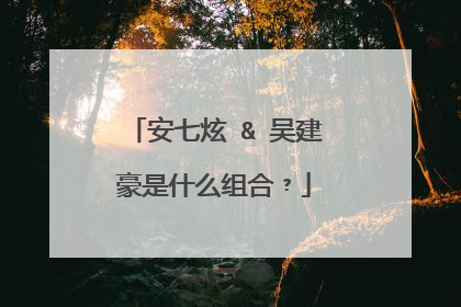 安七炫 & 吴建豪是什么组合﹖