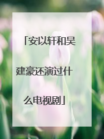 安以轩和吴建豪还演过什么电视剧