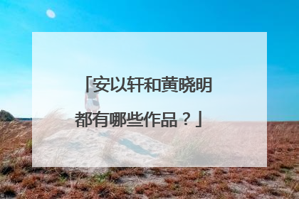 安以轩和黄晓明都有哪些作品？