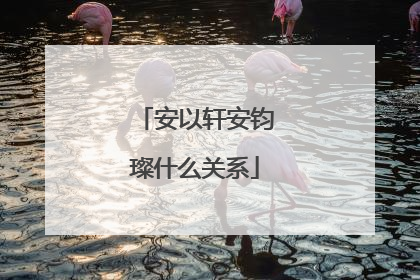 安以轩安钧璨什么关系