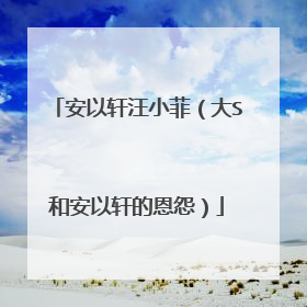 安以轩汪小菲(大S和安以轩的恩怨)