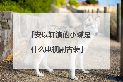 安以轩演的小蝶是什么电视剧古装