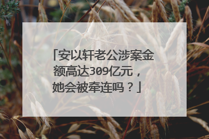 安以轩老公涉案金额高达309亿元,她会被牵连吗?