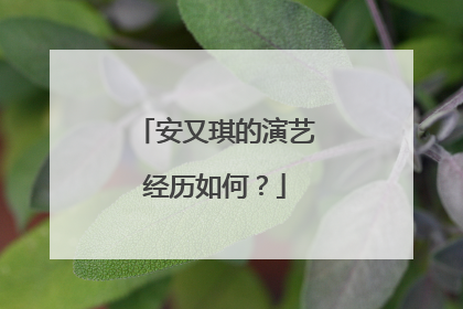 安又琪的演艺经历如何？