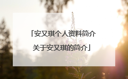 安又琪个人资料简介 关于安又琪的简介