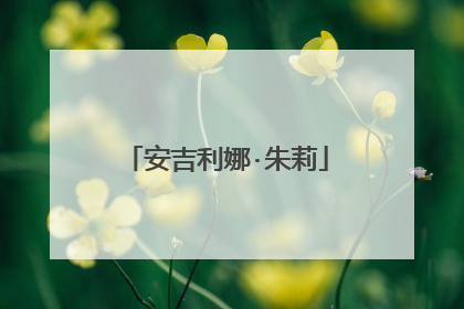 安吉利娜·朱莉