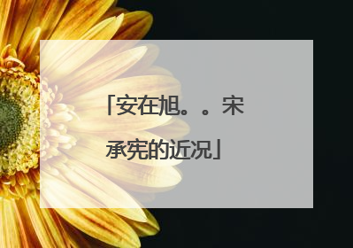 安在旭。。宋承宪的近况