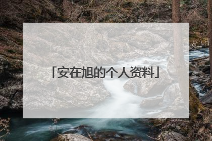 安在旭的个人资料