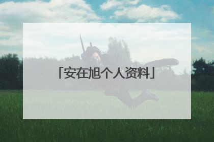 安在旭个人资料