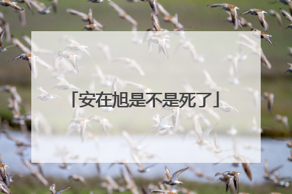 安在旭是不是死了