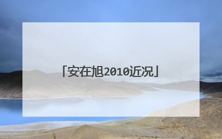 安在旭2010近况