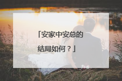 安家中安总的结局如何？