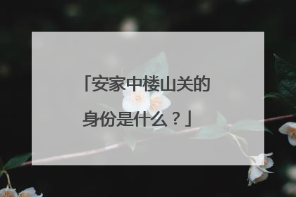 安家中楼山关的身份是什么？