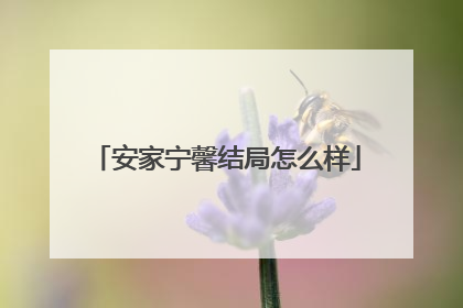 安家宁馨结局怎么样