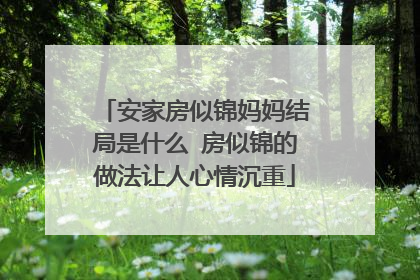 安家房似锦妈妈结局是什么 房似锦的做法让人心情沉重