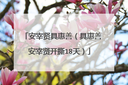 安宰贤具惠善(具惠善安宰贤开撕18天)