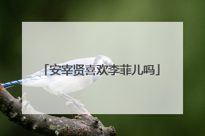 安宰贤喜欢李菲儿吗