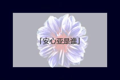 安心亚是谁