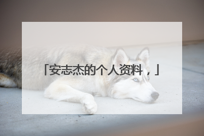 安志杰的个人资料，