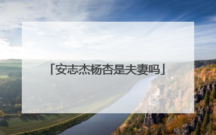 安志杰杨杏是夫妻吗