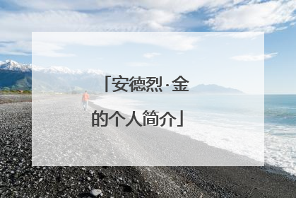 安德烈·金的个人简介