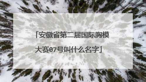 安徽省第二届国际胸模大赛07号叫什么名字
