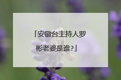 安徽台主持人罗彬老婆是谁?