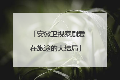 安徽卫视泰剧爱在旅途的大结局
