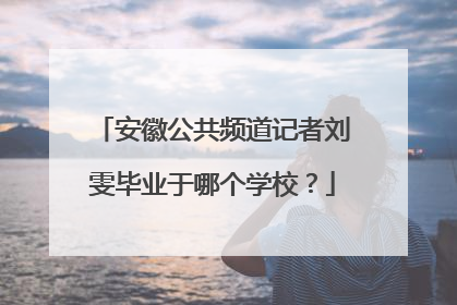 安徽公共频道记者刘雯毕业于哪个学校？