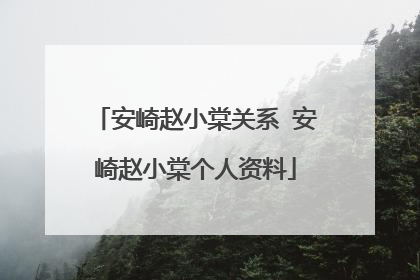 安崎赵小棠关系 安崎赵小棠个人资料