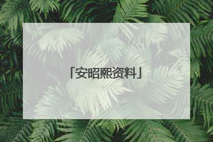 安昭熙资料