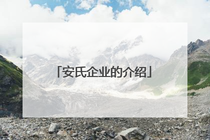 安氏企业的介绍