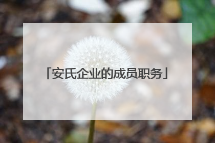 安氏企业的成员职务