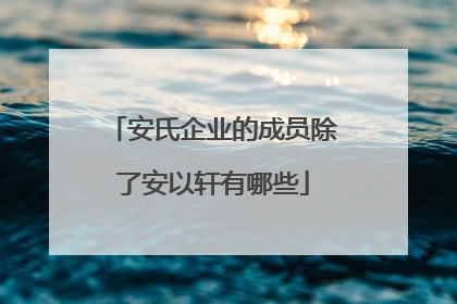 安氏企业的成员除了安以轩有哪些