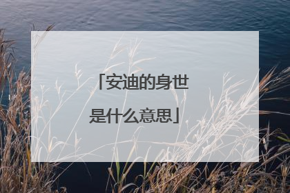 安迪的身世是什么意思