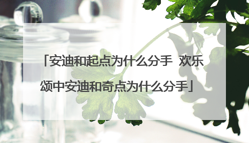 安迪和起点为什么分手 欢乐颂中安迪和奇点为什么分手