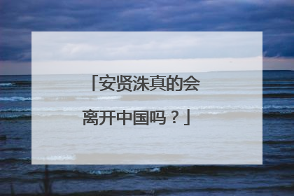 安贤洙真的会离开中国吗？