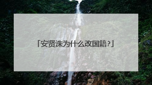 安贤洙为什么改国籍?