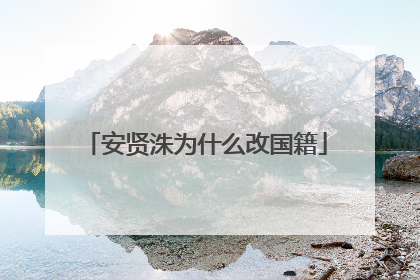 安贤洙为什么改国籍