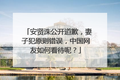 安贤洙公开道歉，妻子犯原则错误，中国网友如何看待呢？