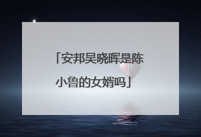 安邦吴晓晖是陈小鲁的女婿吗