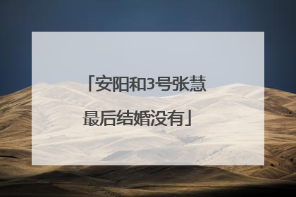 安阳和3号张慧最后结婚没有