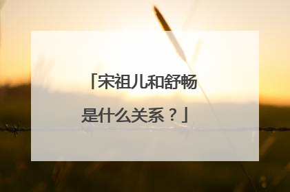 宋祖儿和舒畅是什么关系？